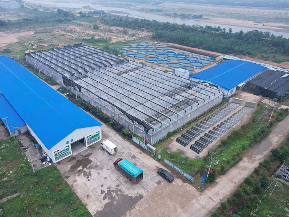 Solar Power Containers for Zelf voorziene voeding